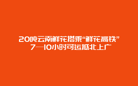 20吨云南鲜花搭乘“鲜花高铁” 7—10小时可运抵北上广