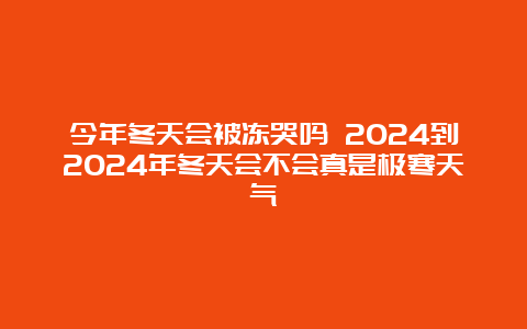 今年冬天会被冻哭吗 2024到2024年冬天会不会真是极寒天气