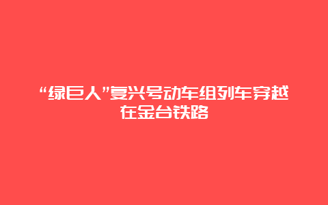 “绿巨人”复兴号动车组列车穿越在金台铁路