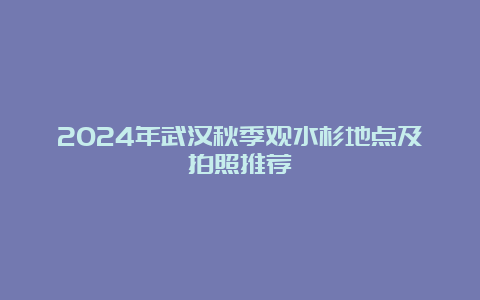 2024年武汉秋季观水杉地点及拍照推荐