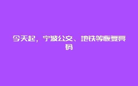 今天起，宁波公交、地铁等恢复亮码