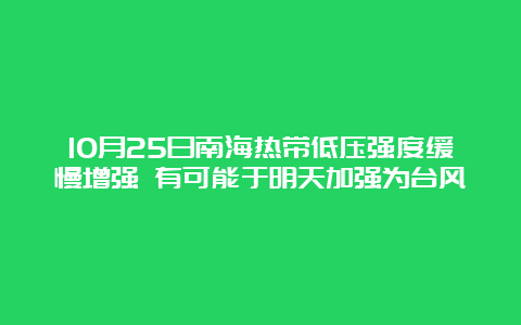 10月25日南海热带低压强度缓慢增强 有可能于明天加强为台风