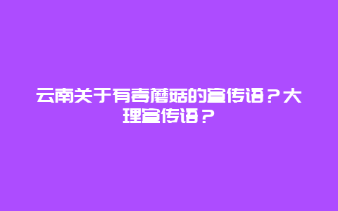 云南关于有毒蘑菇的宣传语？大理宣传语？