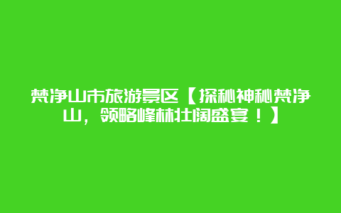 梵净山市旅游景区【探秘神秘梵净山，领略峰林壮阔盛宴！】