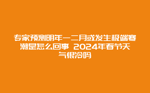 专家预测明年一二月或发生极端寒潮是怎么回事 2024年春节天气很冷吗