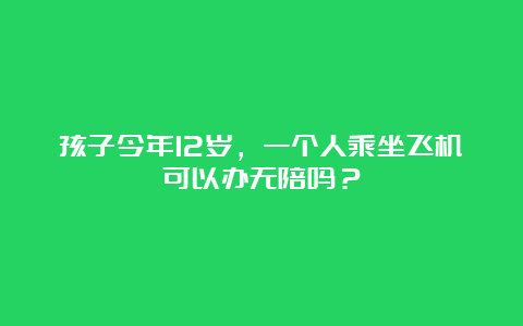 孩子今年12岁，一个人乘坐飞机可以办无陪吗？