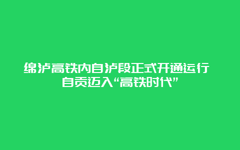 绵泸高铁内自泸段正式开通运行 自贡迈入“高铁时代”