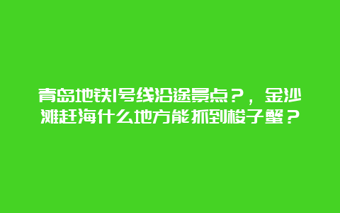 青岛地铁1号线沿途景点？，金沙滩赶海什么地方能抓到梭子蟹？