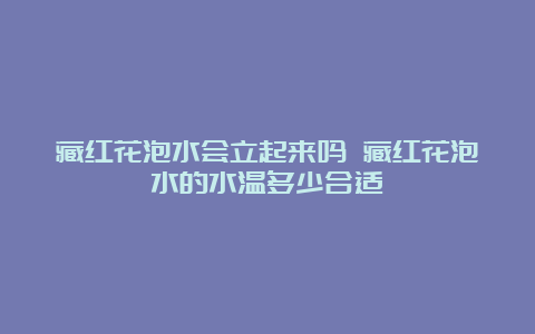 藏红花泡水会立起来吗 藏红花泡水的水温多少合适