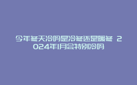 今年冬天冷吗是冷冬还是暖冬 2024年1月会特别冷吗