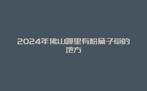 2024年佛山哪里有粉黛子草的地方