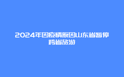 2024年因疫情原因山东省暂停跨省旅游