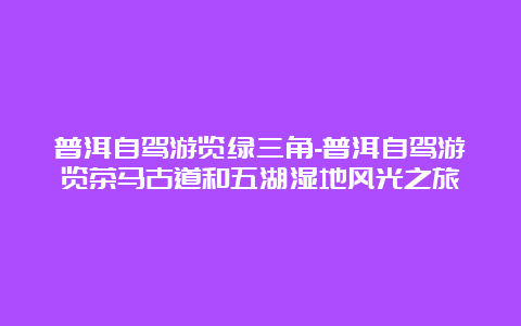 普洱自驾游览绿三角-普洱自驾游览茶马古道和五湖湿地风光之旅