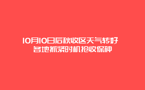 10月10日后秋收区天气转好 各地抓紧时机抢收保种