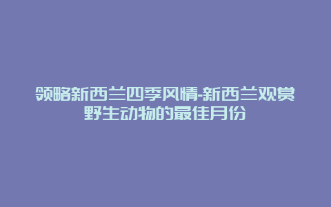 领略新西兰四季风情-新西兰观赏野生动物的最佳月份