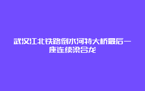 武汉江北铁路倒水河特大桥最后一座连续梁合龙