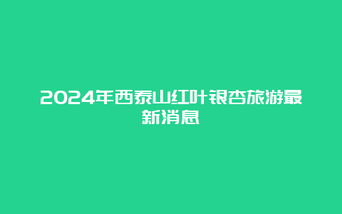 2024年西泰山红叶银杏旅游最新消息