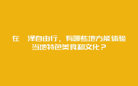 在菏泽自由行，有哪些地方能体验当地特色美食和文化？