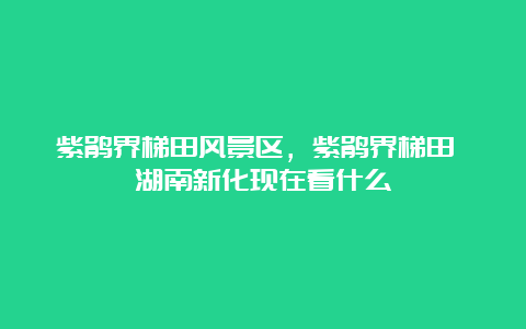 紫鹃界梯田风景区，紫鹃界梯田 湖南新化现在看什么