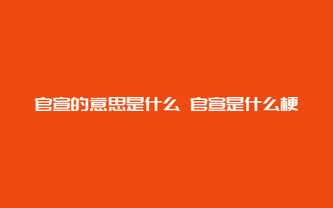 官宣的意思是什么 官宣是什么梗