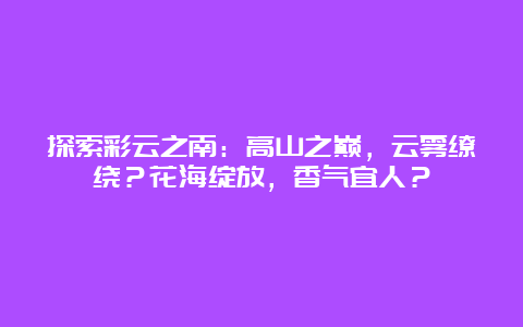 探索彩云之南：高山之巅，云雾缭绕？花海绽放，香气宜人？