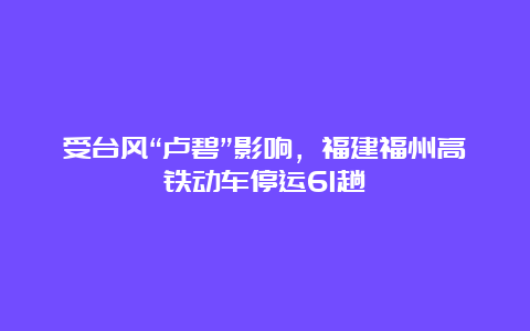 受台风“卢碧”影响，福建福州高铁动车停运61趟