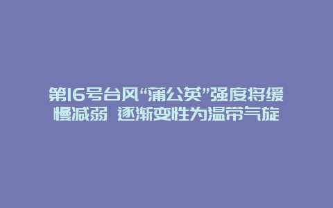 第16号台风“蒲公英”强度将缓慢减弱 逐渐变性为温带气旋