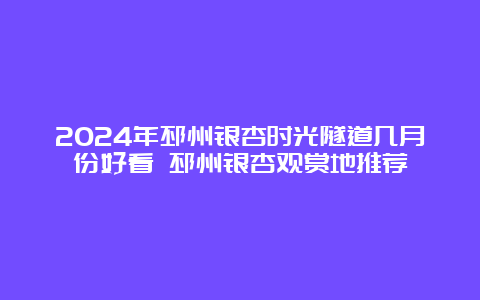 2024年邳州银杏时光隧道几月份好看 邳州银杏观赏地推荐