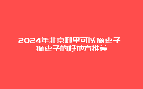 2024年北京哪里可以摘枣子 摘枣子的好地方推荐