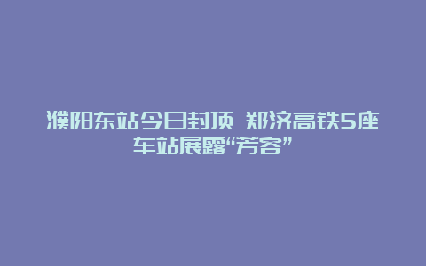 濮阳东站今日封顶 郑济高铁5座车站展露“芳容”