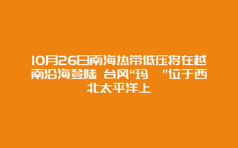 10月26日南海热带低压将在越南沿海登陆 台风“玛瑙”位于西北太平洋上