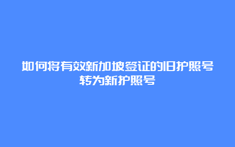 如何将有效新加坡签证的旧护照号转为新护照号