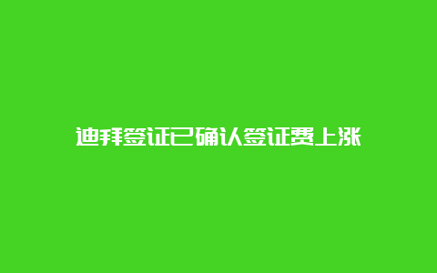 迪拜签证已确认签证费上涨