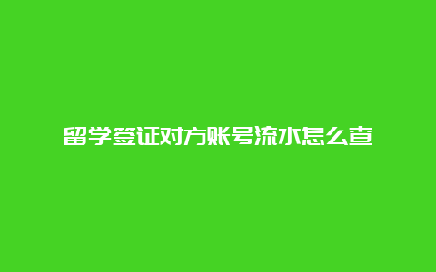 留学签证对方账号流水怎么查