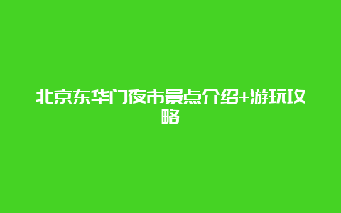 北京东华门夜市景点介绍+游玩攻略