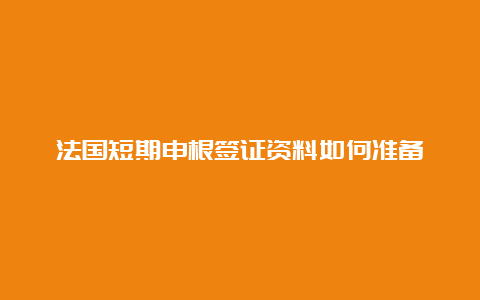 法国短期申根签证资料如何准备