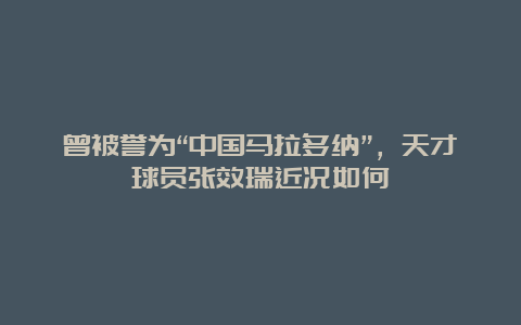 曾被誉为“中国马拉多纳”，天才球员张效瑞近况如何