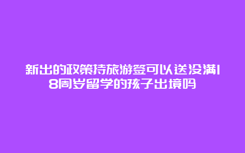 新出的政策持旅游签可以送没满18周岁留学的孩子出境吗