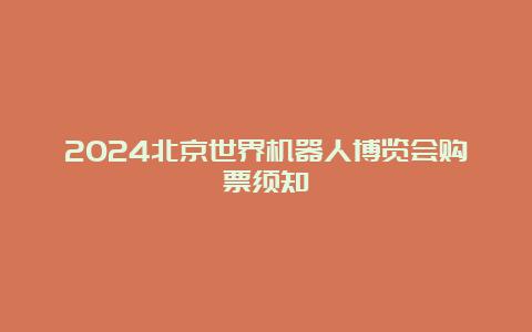 2024北京世界机器人博览会购票须知