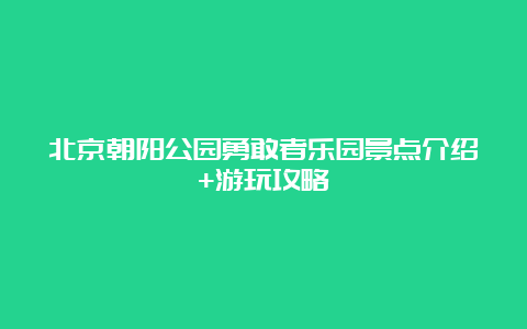 北京朝阳公园勇敢者乐园景点介绍+游玩攻略