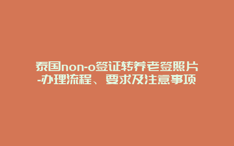 泰国non-o签证转养老签照片-办理流程、要求及注意事项