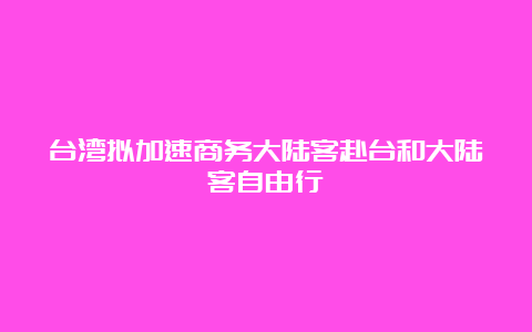 台湾拟加速商务大陆客赴台和大陆客自由行