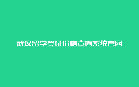 武汉留学签证价格查询系统官网