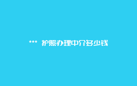 *** 护照办理中介多少钱