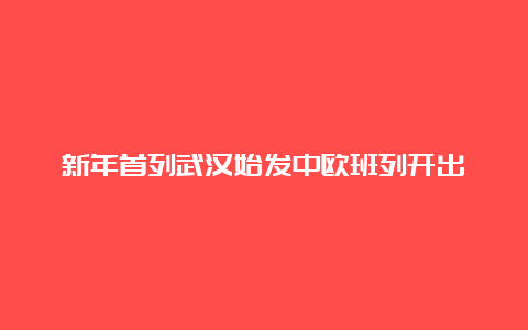 新年首列武汉始发中欧班列开出