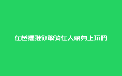 在芭提雅你敢骑在大象身上玩吗