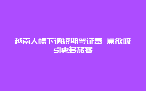 越南大幅下调短期签证费 意欲吸引更多旅客