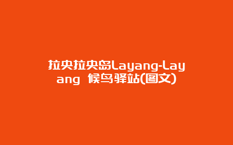 拉央拉央岛Layang-Layang 候鸟驿站(图文)