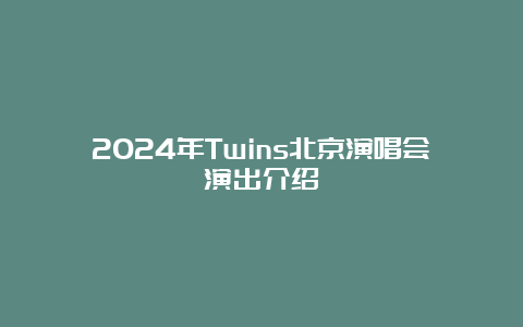 2024年Twins北京演唱会演出介绍