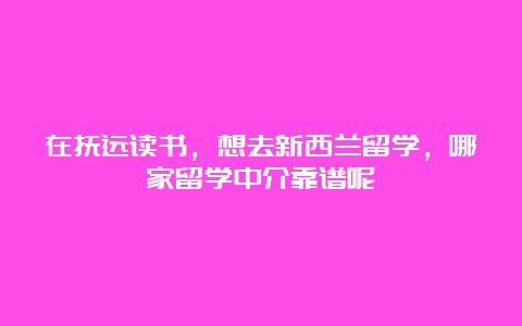 在抚远读书，想去新西兰留学，哪家留学中介靠谱呢